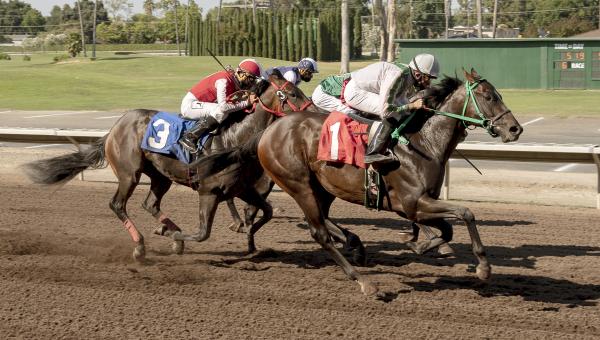 Pleasanton 2021 Live Horse Racing Track News DRF Pleasanton 2021 Live Horse Racing Track News DRF